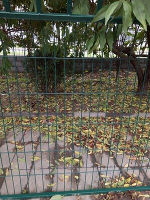 果園圍欄網(wǎng) 守護(hù)豐收的專屬衛(wèi)士